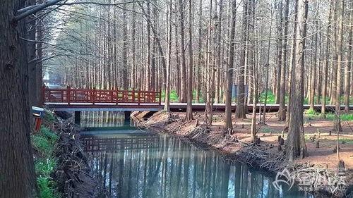 水上公园爆料视频,视频揭秘公园背后惊人秘密